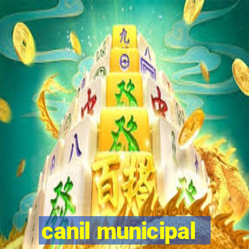 canil municipal